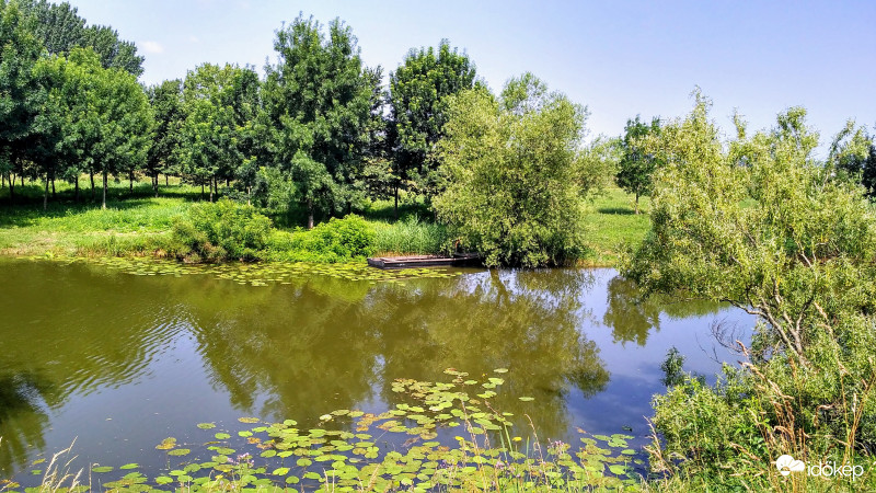 Csendes pihenő