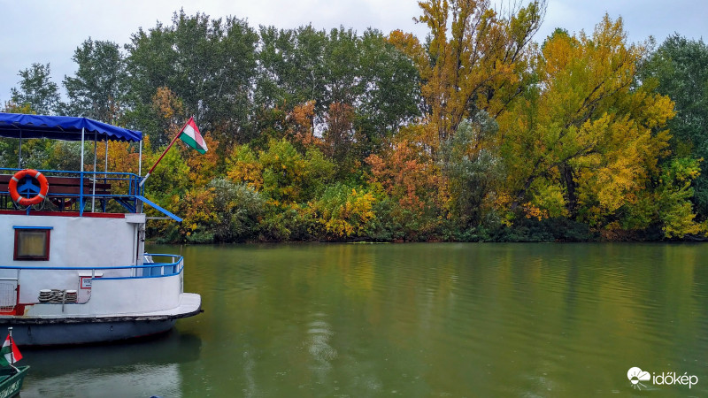 Őszülő Bodrog part