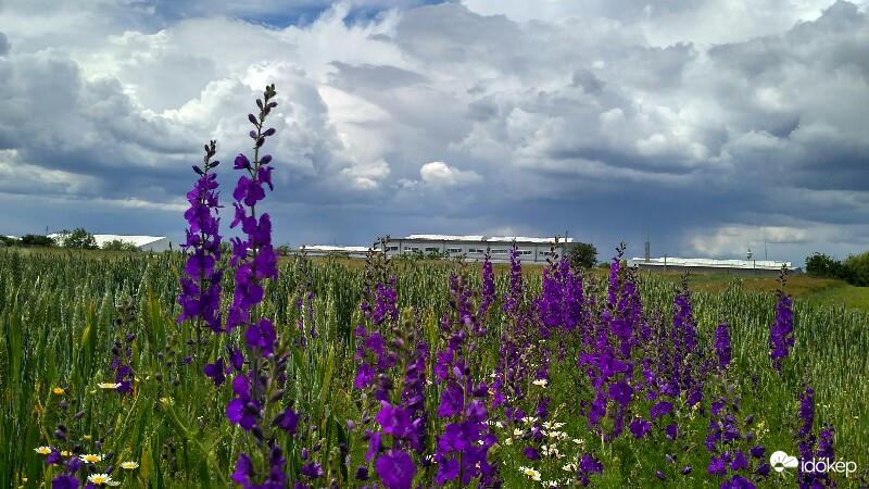 Gomolyogva közelít