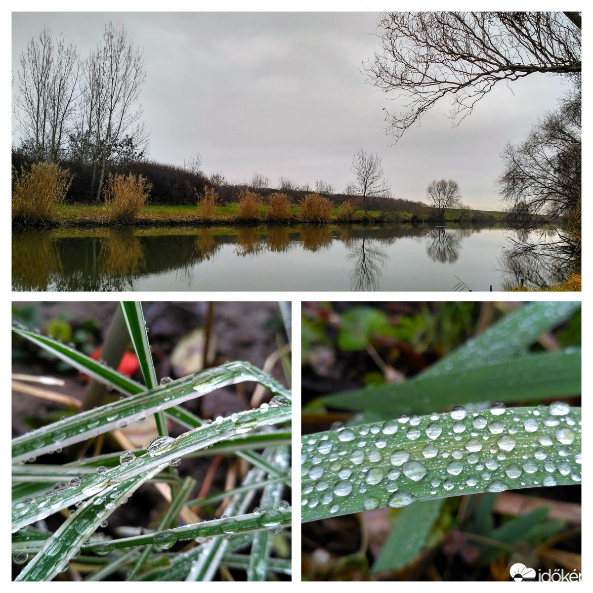 Szürkeség és cseppek