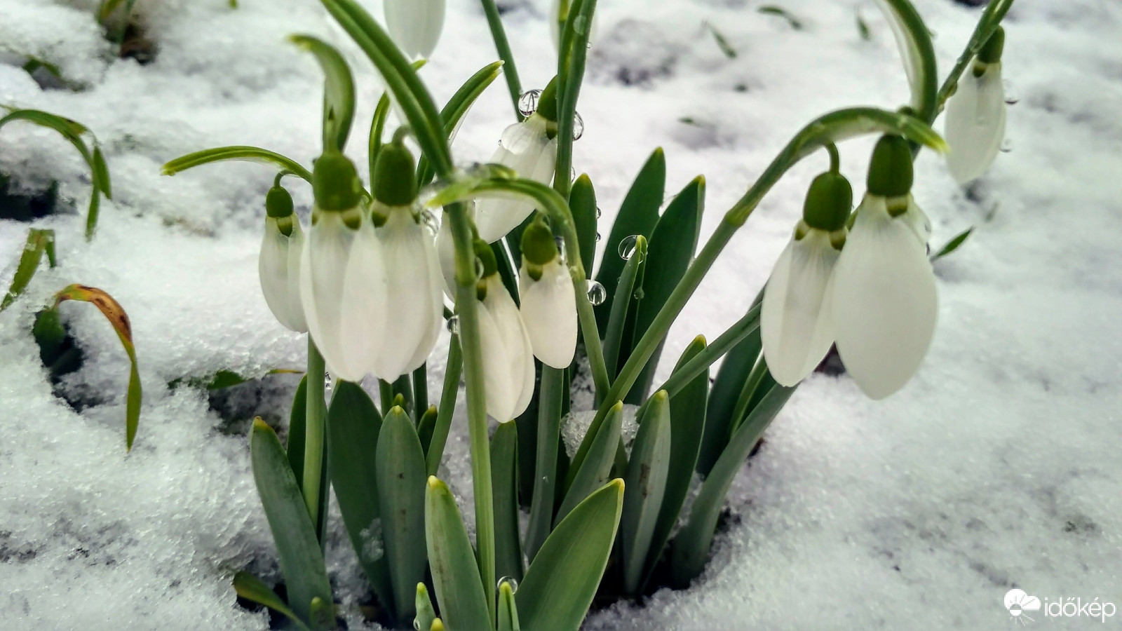 Hó is eső is volt ma