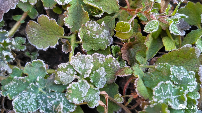 Derült, fagyos reggel