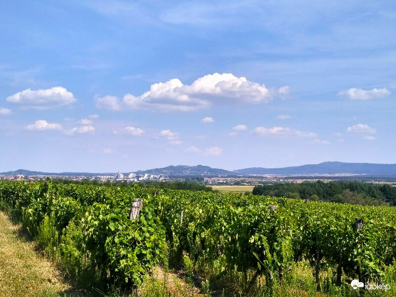 Tapolca