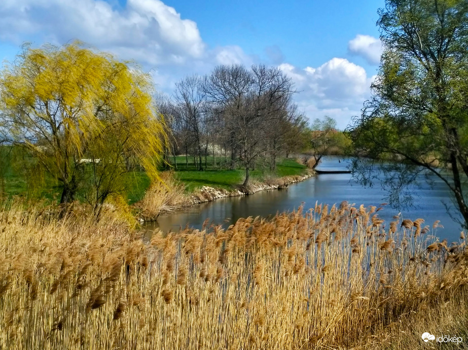 Erős szélben, napsütésben