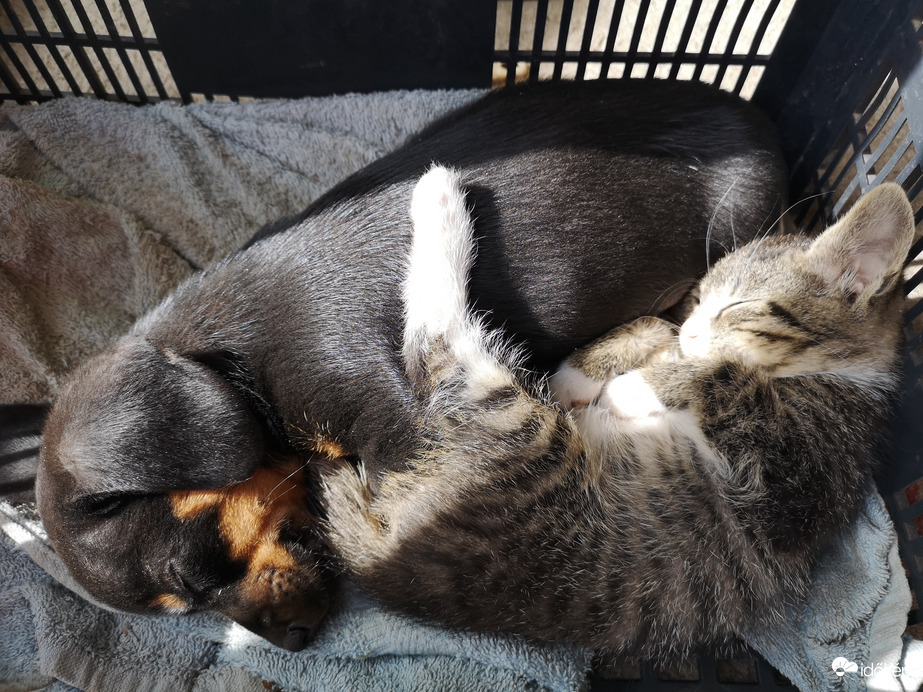 Melegít az októberi napsugár 