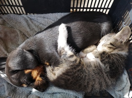 Melegít az októberi napsugár 