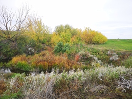 Zagyva-Tarna torkolat, alacsony vízállás 