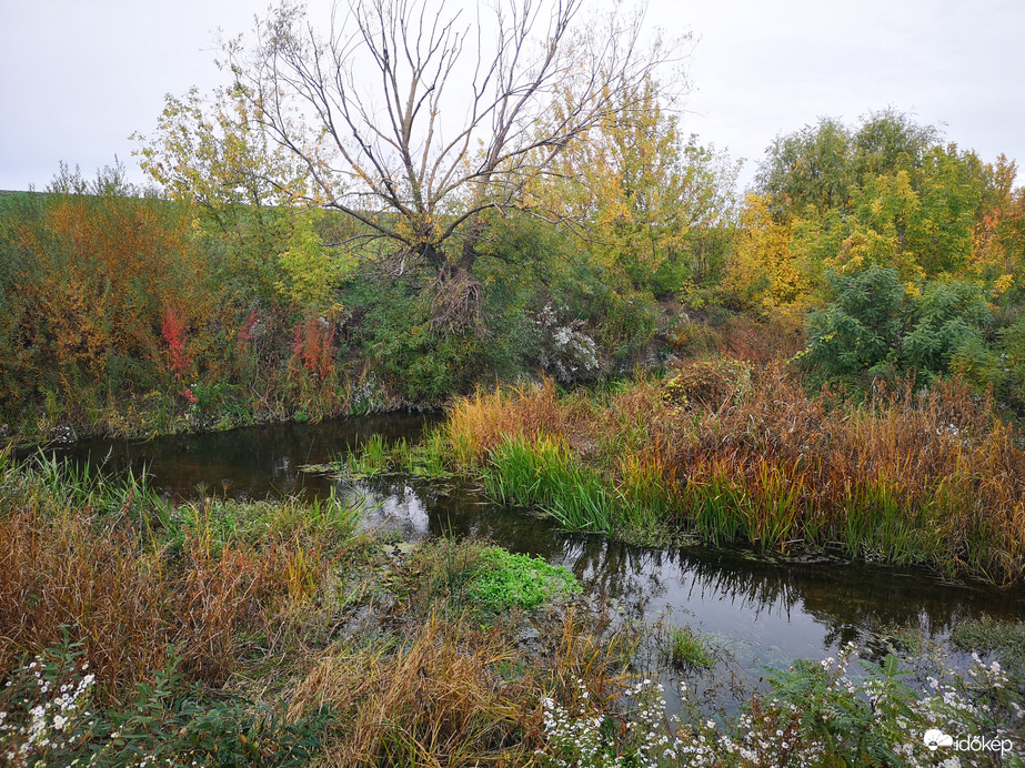 Zagyva-Tarna torkolatnál