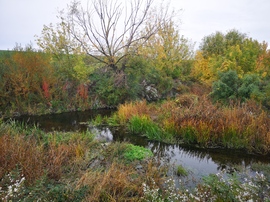Zagyva-Tarna torkolatnál