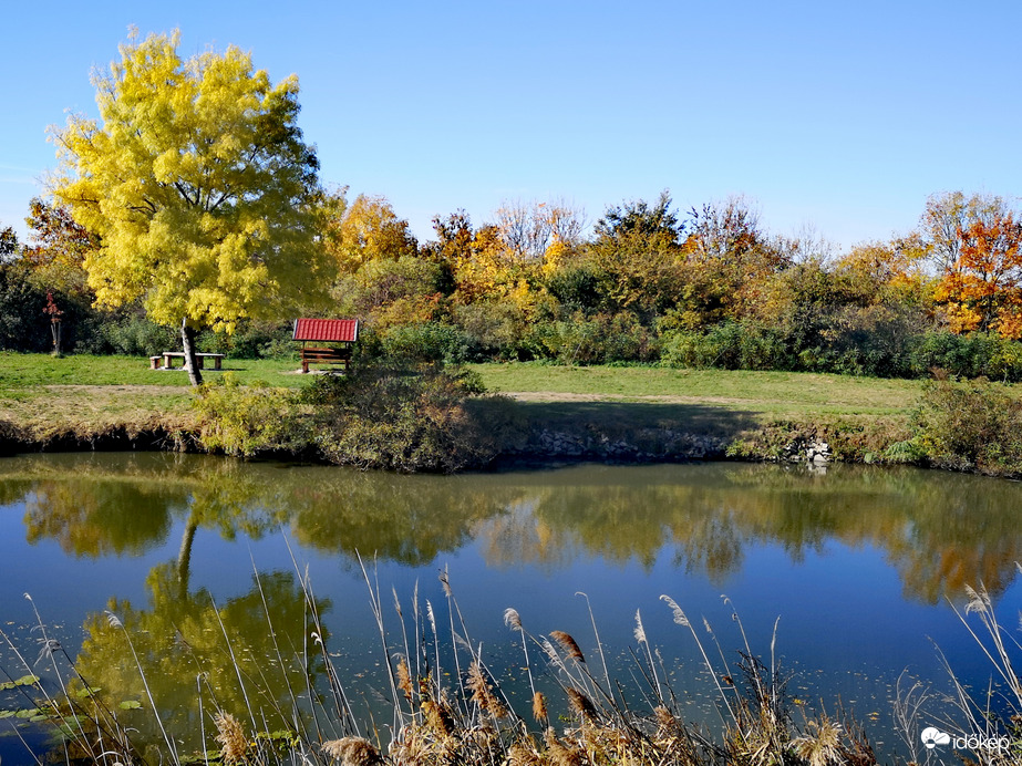 Őszi délután a horgásztónál