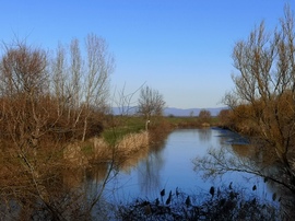 Jegesedés kezdődött a tavon