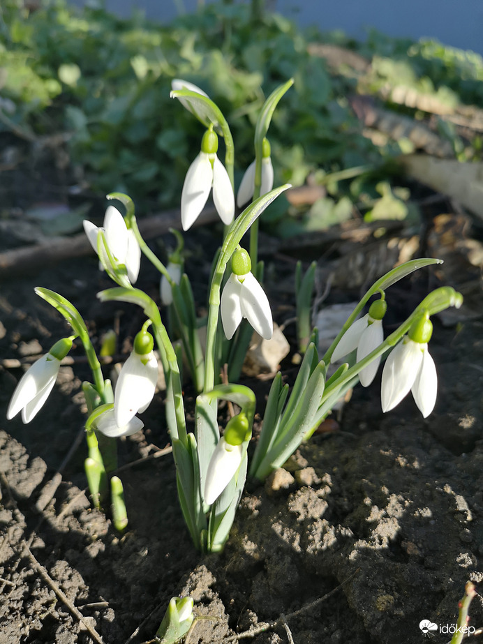 Egy napra tavasz lett