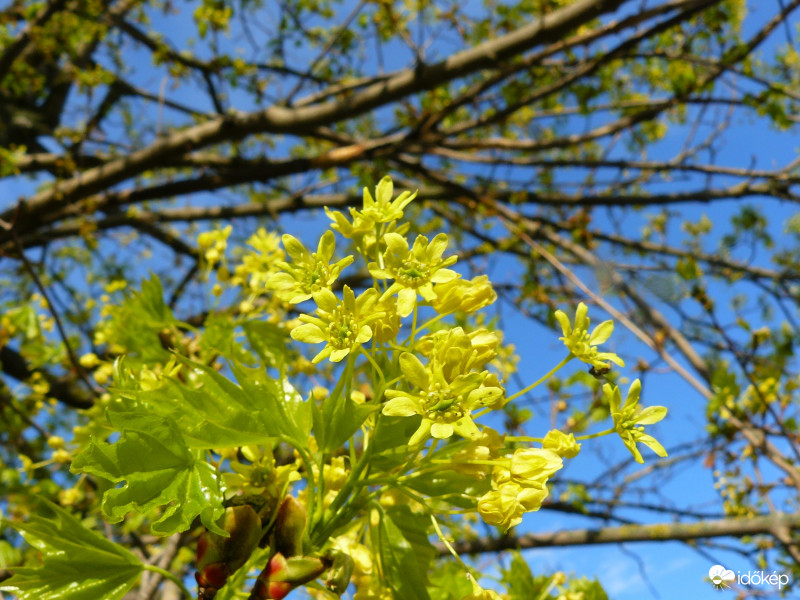 Főszerepben a napsütés ismét
