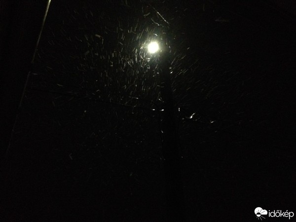 Észlelési fényképek