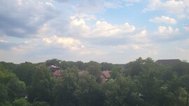 Gyula
