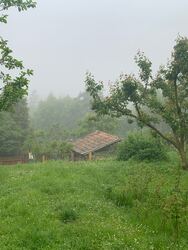 Bakonybél