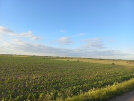 Mezőkomárom