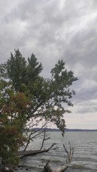Tihany