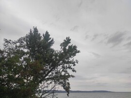 Tihany