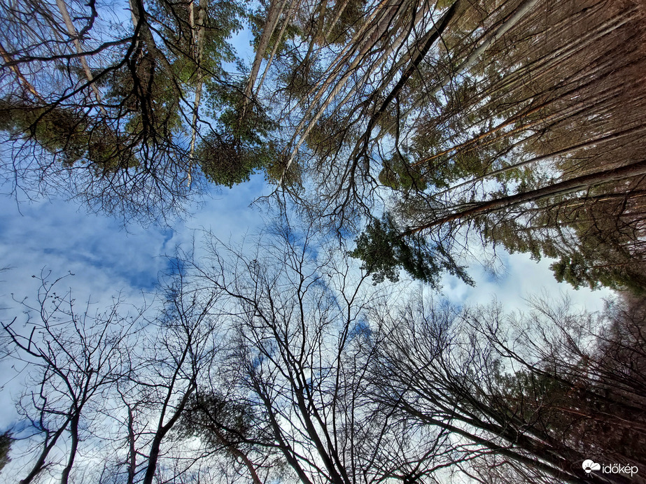 Észlelési fényképek