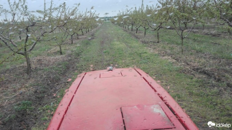 Észlelési fényképek