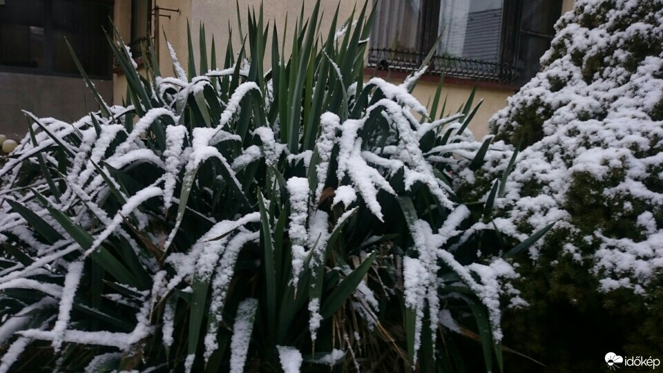 Mosonmagyaróvár
