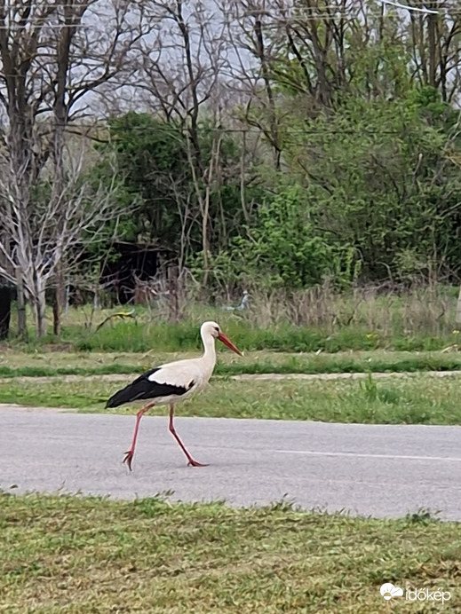 "Ne aggódjatok, szétnéztem."