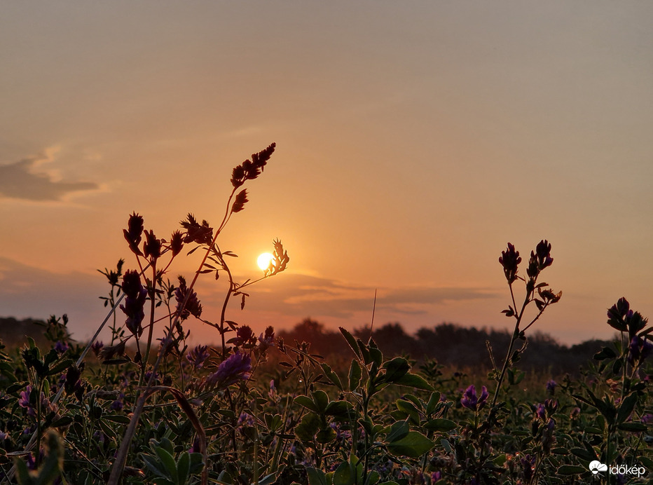 Felkelő nap 23.08.15.