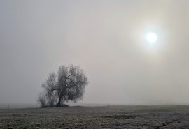 Egyedül a ködben - 24.01.30.