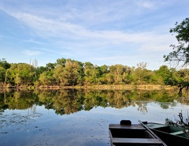 Tőserdő Holt Tisza 