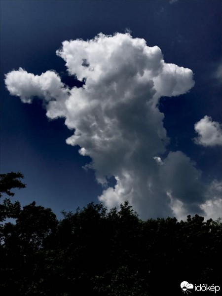 Észlelési fényképek