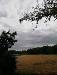 Szigetbecse