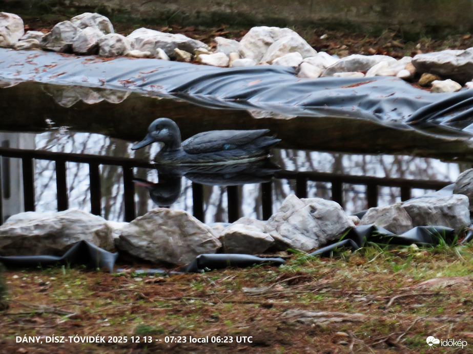 DÍSZ-TÓVIDÉK EGY HIDEG REGGELEN