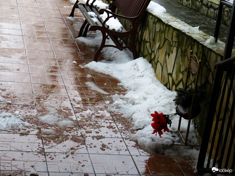 DÁNY, OLVAD, DE EZ MÉG NEM A TAVASZ -- 2026 01 17 délután