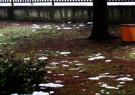 DÁNY, ENNYI MARADT A HÓTAKARÓBÓL-- 2026 01 26 délután