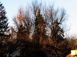 DÁNY, NAPSÜTŐTÉS REGGEL -- 2026 01 27