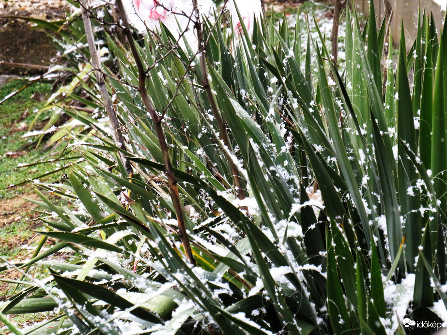 DÁNY, ILYENEK VAGYUNK - MOST MÁR ELÉG! -- 2026 02 02 délelőtt