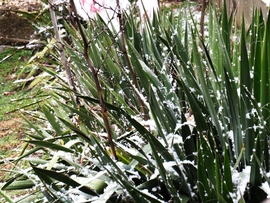 DÁNY, ILYENEK VAGYUNK - MOST MÁR ELÉG! -- 2026 02 02 délelőtt