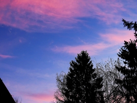 DÁNY, HŰVÖSEK A HAJNALOK -- 2026 02 16