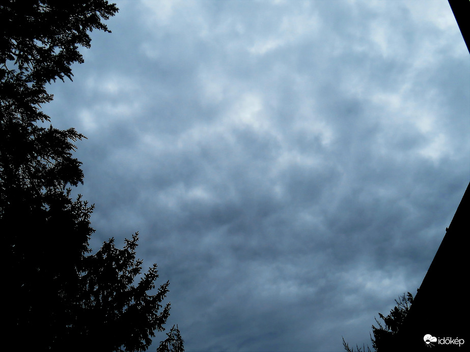 DÁNY, NÉHÁNY PERCCEL NAPKELTE ELŐTT - FELETTÜNK -- 2026 02 20