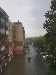 Gyula