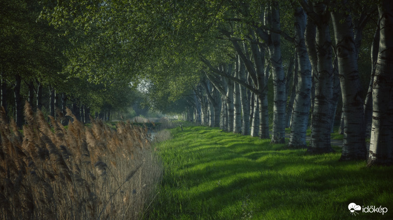 A külváros nyugalma