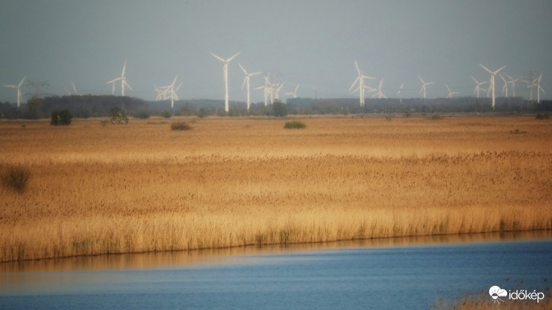 Landscape in Netherland