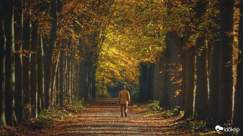Sétálás...