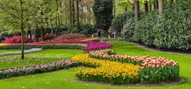 Panorámakép, Keukenhof,