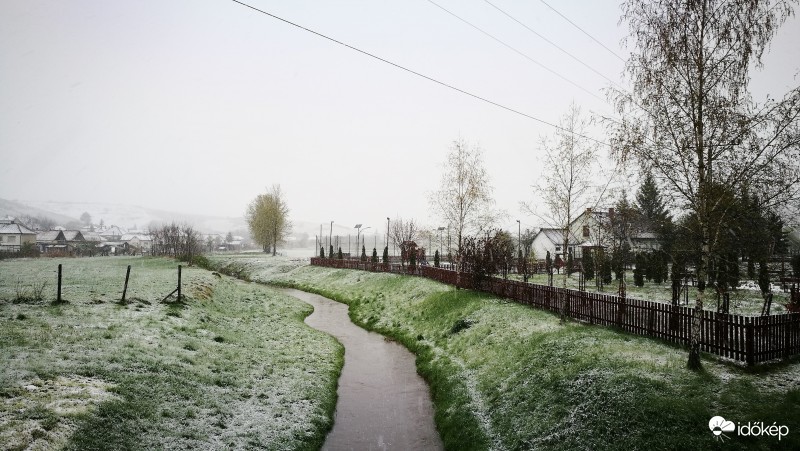 Otthonunk, de változatos