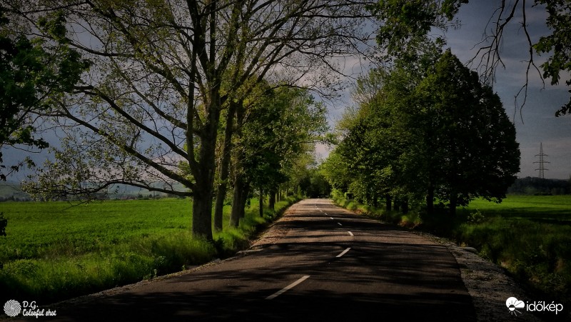 Az út sötétjében