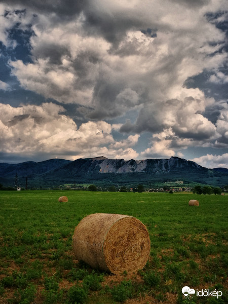 Nyárias napok közelében