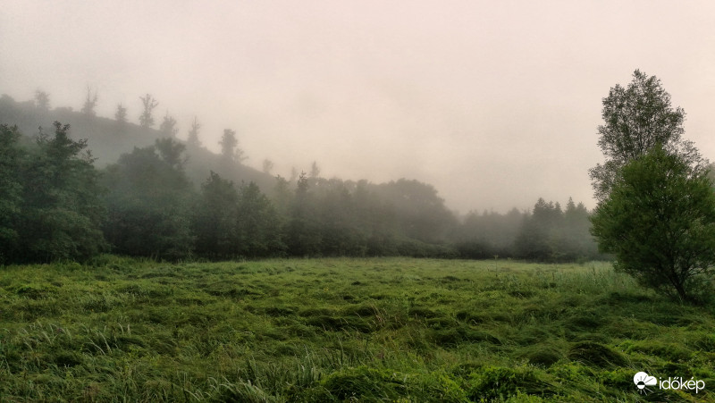 Ködös reggel