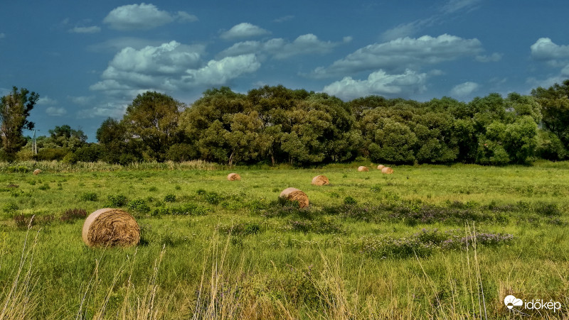 Behangolva - a Nyárral